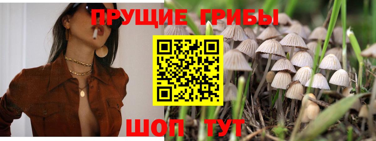 Галлюциногенные грибы GOLDEN TEACHER  Псилоцибиновые грибы ЛСД  Ачхой-Мартан  Вход с VPN 